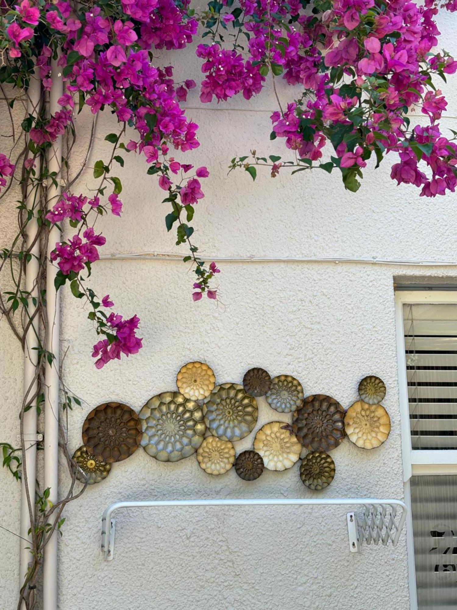 In The Vine Country Manor Guesthouse สเตลเลนบอช ภายนอก รูปภาพ