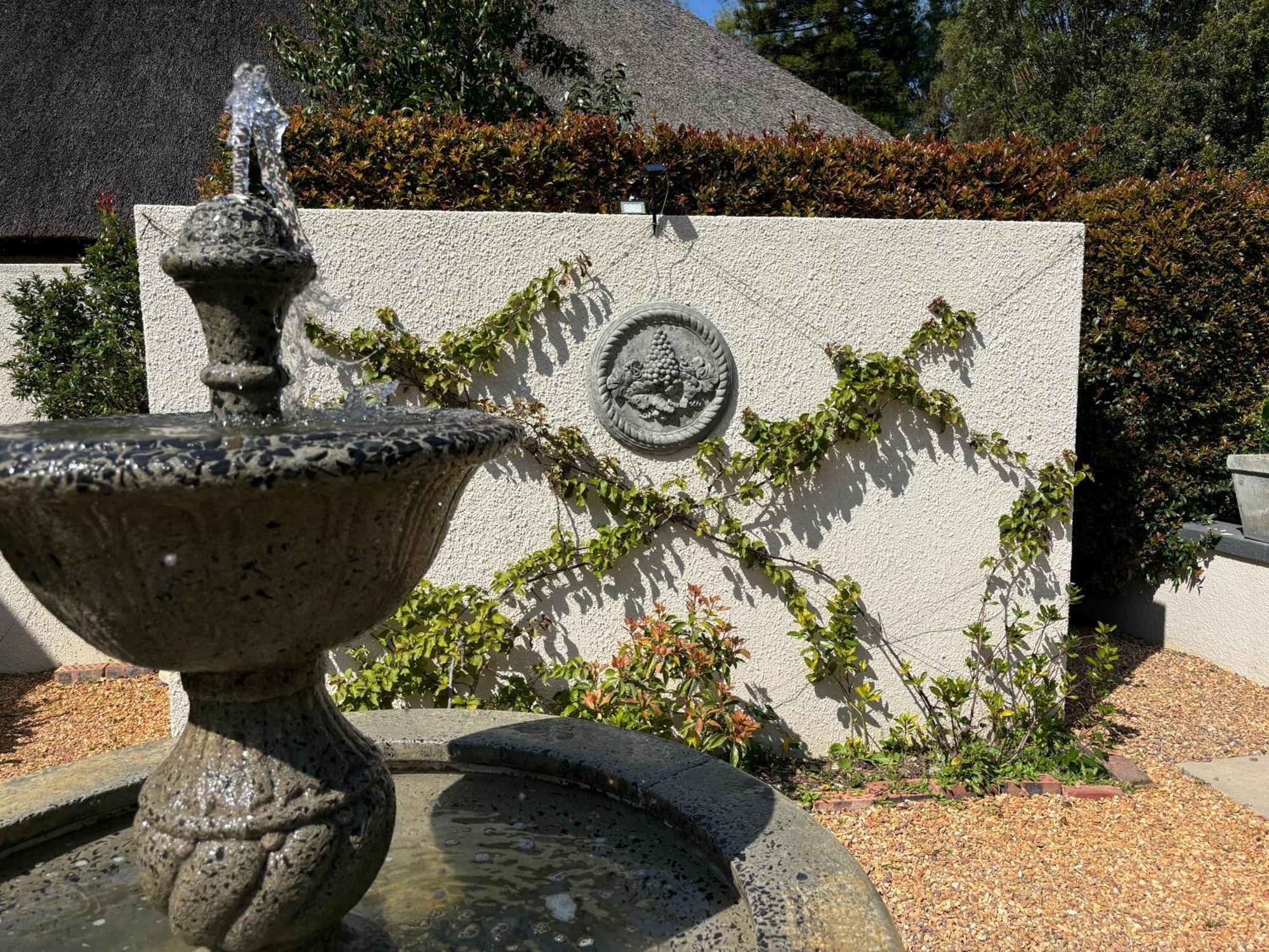 In The Vine Country Manor Guesthouse สเตลเลนบอช ภายนอก รูปภาพ