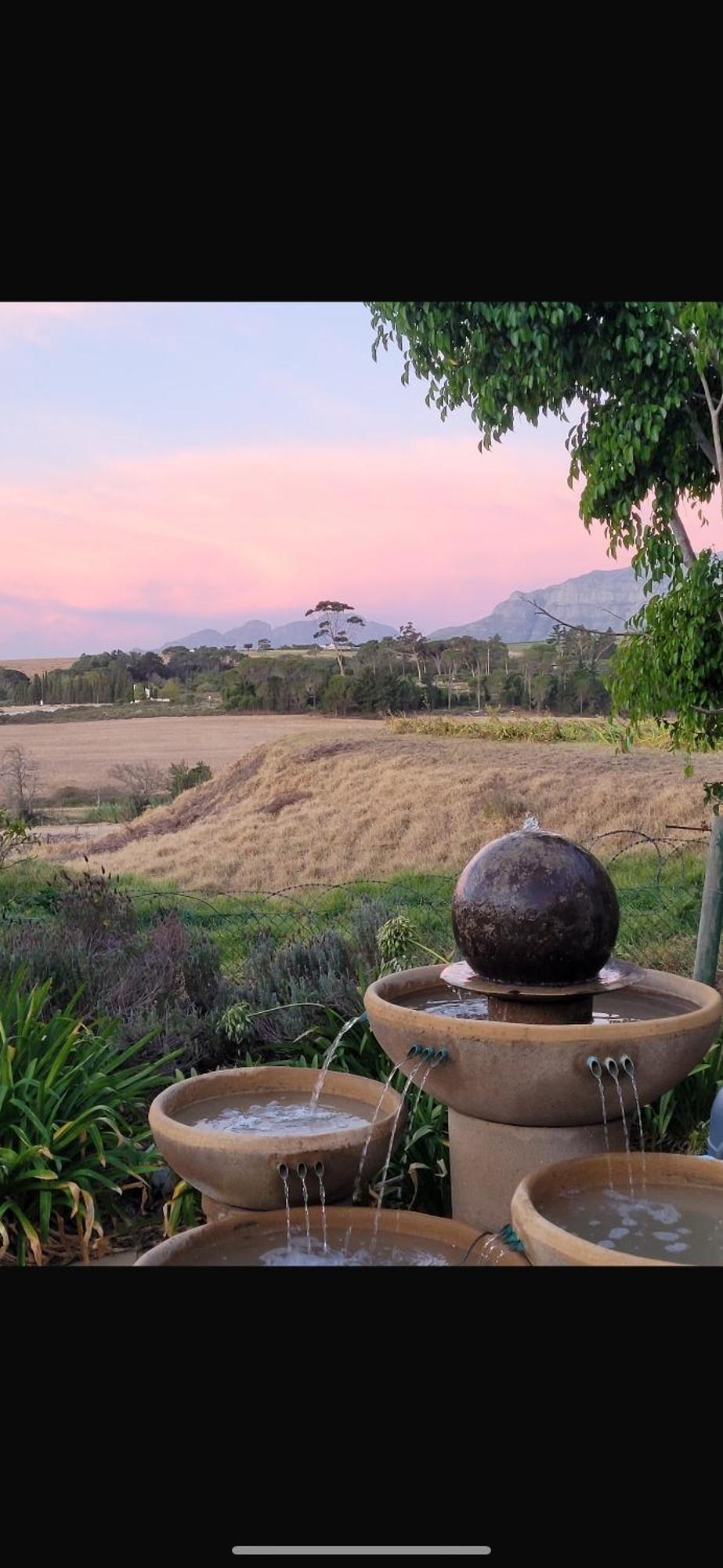 In The Vine Country Manor Guesthouse สเตลเลนบอช ภายนอก รูปภาพ